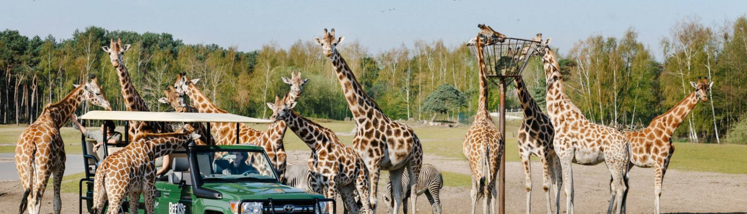 zoo safari tilburg